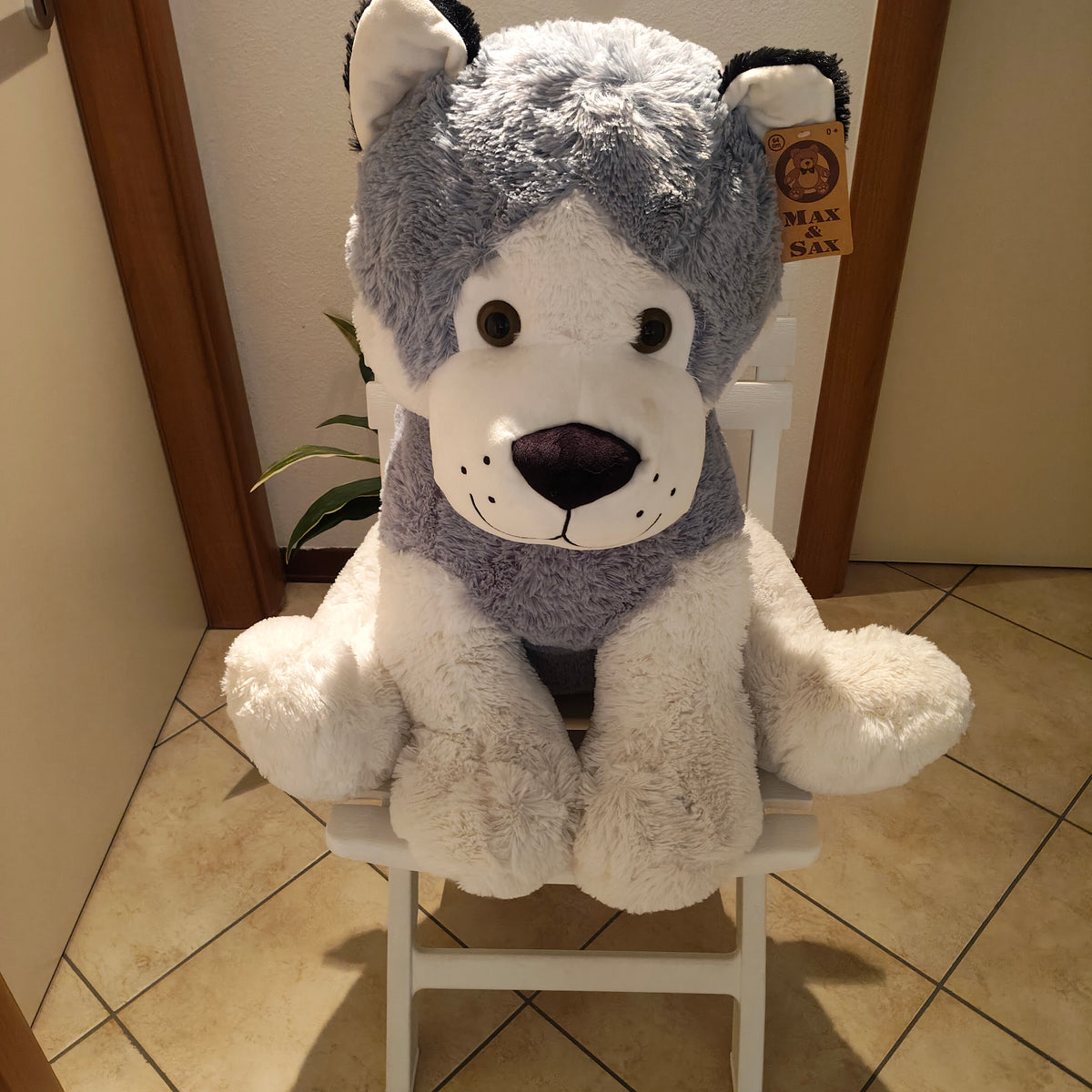 Peluche Cane Husky Gigante Max & Sax 64cm