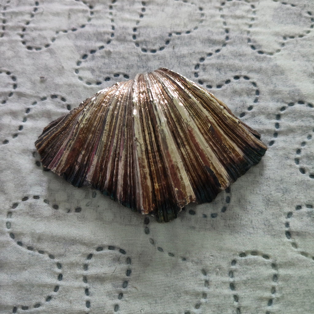 Conchiglia Valva Decorata
