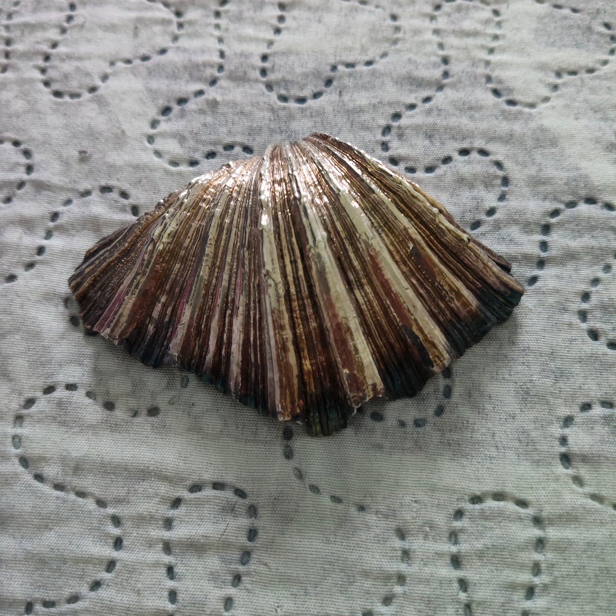 Conchiglia Valva Decorata