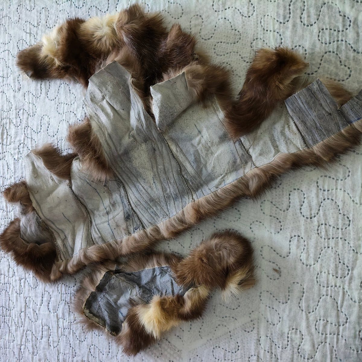 Splendide Stole e Pellicce Intere Visone Vintage