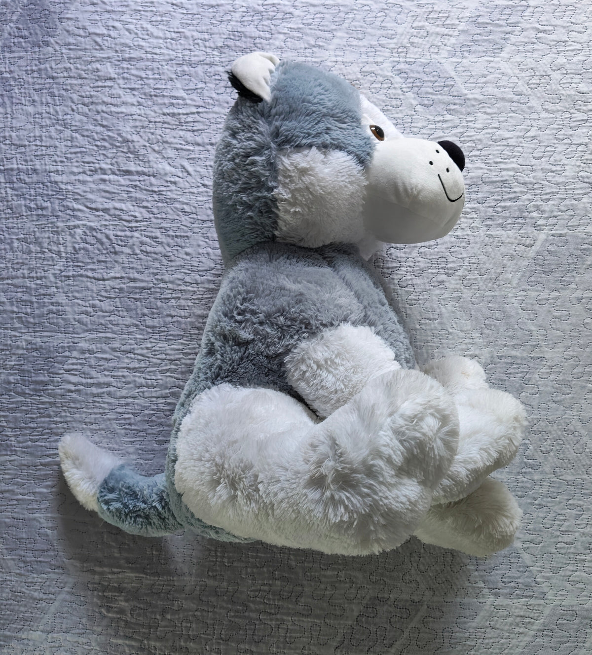 Peluche Cane Husky Gigante Max & Sax 64cm